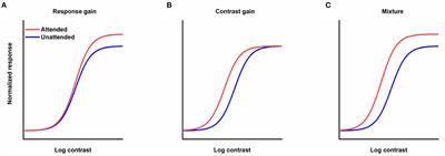 Temporal attention affects contrast response function by response gain